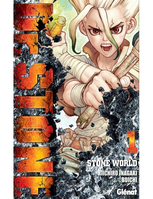 Dr Stone Tome 1 (VF)