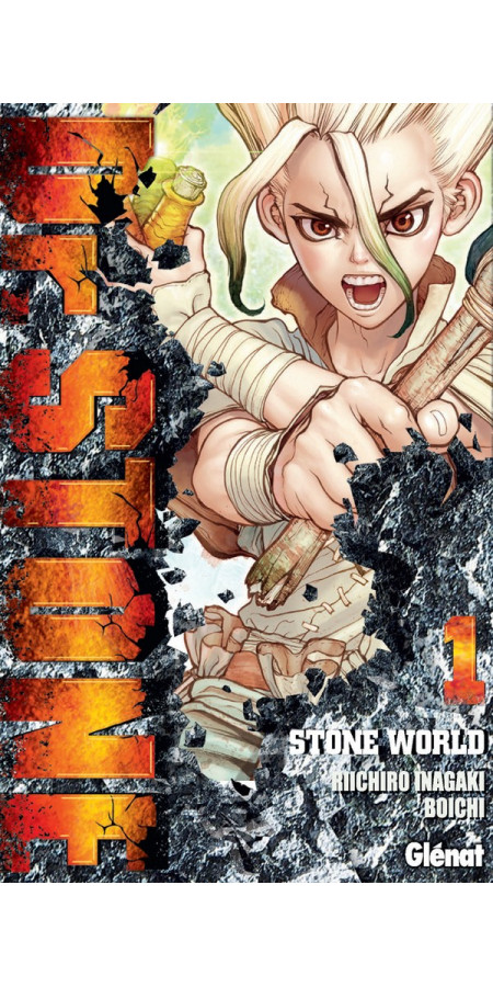 Dr Stone Tome 1 (VF)