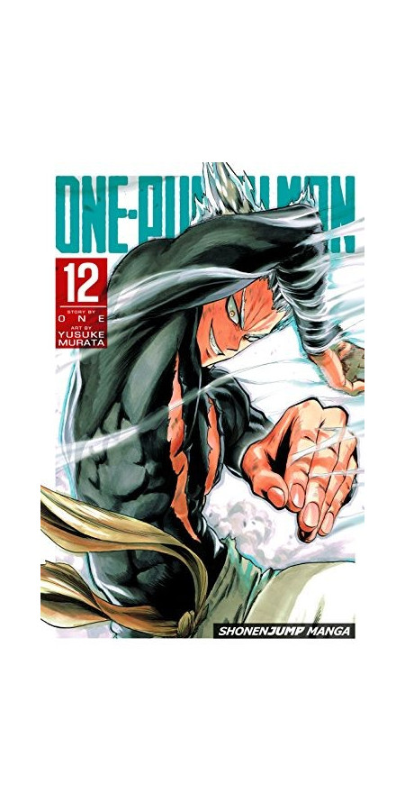 One Punch Man Tome 12 (VF)