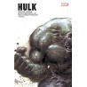 HULK PAR JONES ET DEODATO JR T02 (VF)