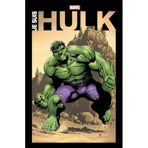 JE SUIS HULK (VF)