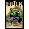 JE SUIS HULK (VF)