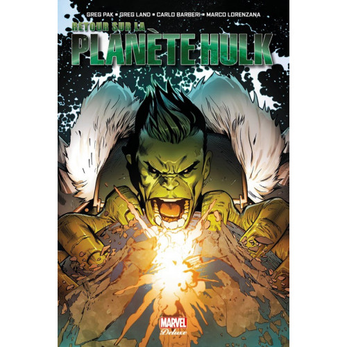 INCREDIBLE HULK : RETOUR SUR LA PLANÈTE HULK (VF)