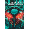 Arthur Curry : Aquaman Tome 2 (VF)