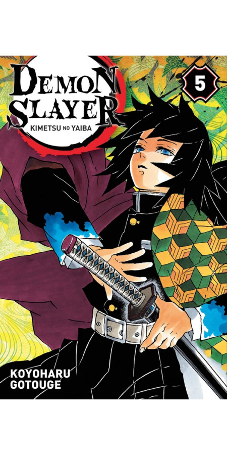 Demon Slayer Tome 5 (VF)