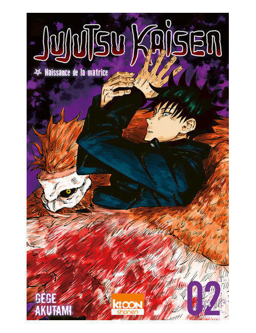 Jujutsu Kaisen Tome 2 (VF)