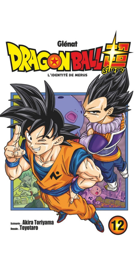 Dragon Ball Super Tome 12 (VF)