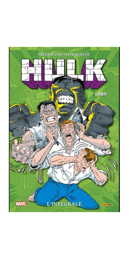 Hulk : L'intégrale 1989 (Nouvelle édition) (VF)