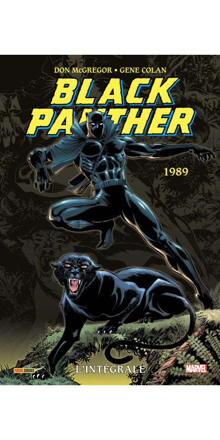 Black Panther : L'intégrale 1989 (VF)