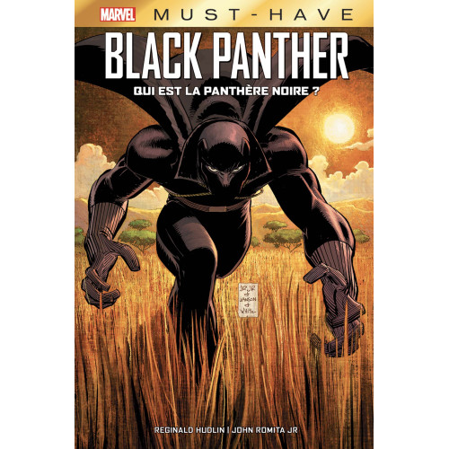 Black Panther : Qui est la Panthère Noire ? (VF)