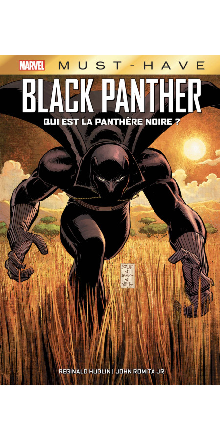 Black Panther : Qui est la Panthère Noire ? (VF)