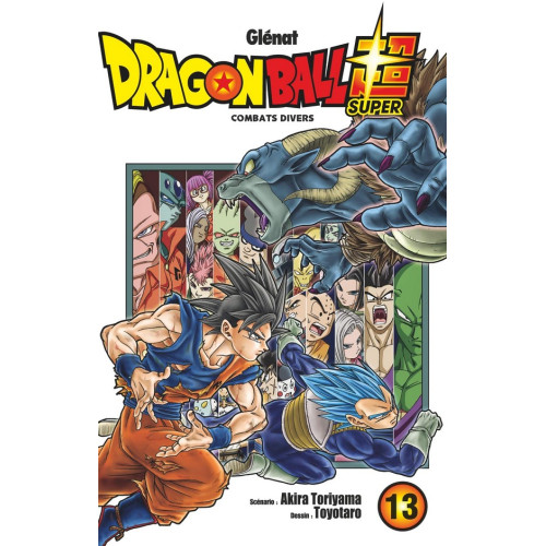 Dragon Ball Super Tome 13 (VF)