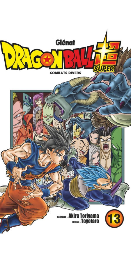 Dragon Ball Super Tome 13 (VF)