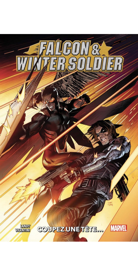 Falcon & Winter Soldier (VF)