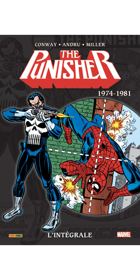 PUNISHER : L'INTEGRALE 1974-1981 (VF)