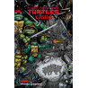 Les Tortues Ninja -TMNT Classics TOME 2 : Travail d'équipe (VF)