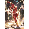 Flash Rebirth Tome 11 (VF)