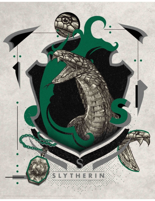 HARRY POTTER - Serpentard - Art Print '36x28'