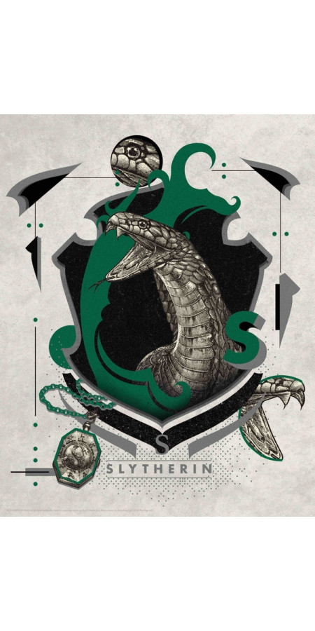 HARRY POTTER - Serpentard - Art Print '36x28'