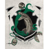 HARRY POTTER - Serpentard - Art Print '36x28'