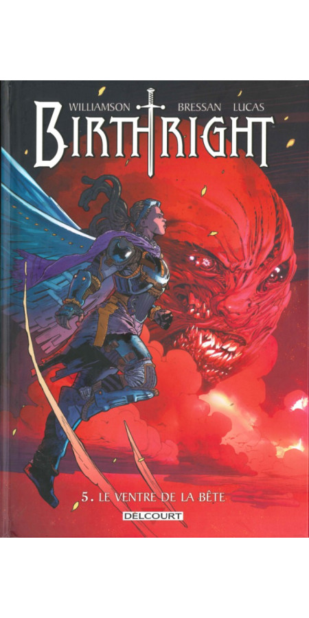 Birthright tome 4 (VF)