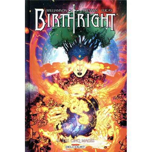 Birthright tome 7 (VF)