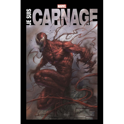 Nous sommes Carnage (VF)