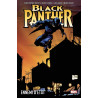 Black Panther par Christopher Priest  (VF)