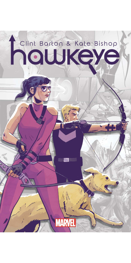 Marvel-Verse : Hawkeye (VF)