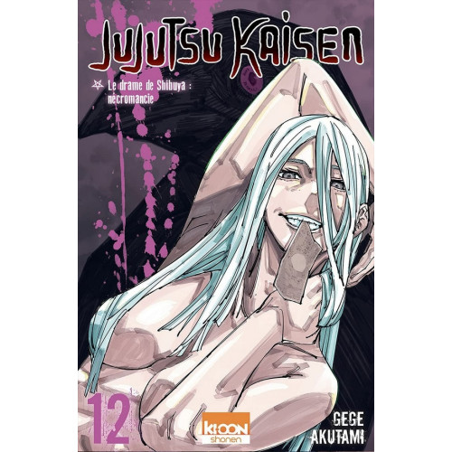 Jujutsu Kaisen Tome 13 (VF)