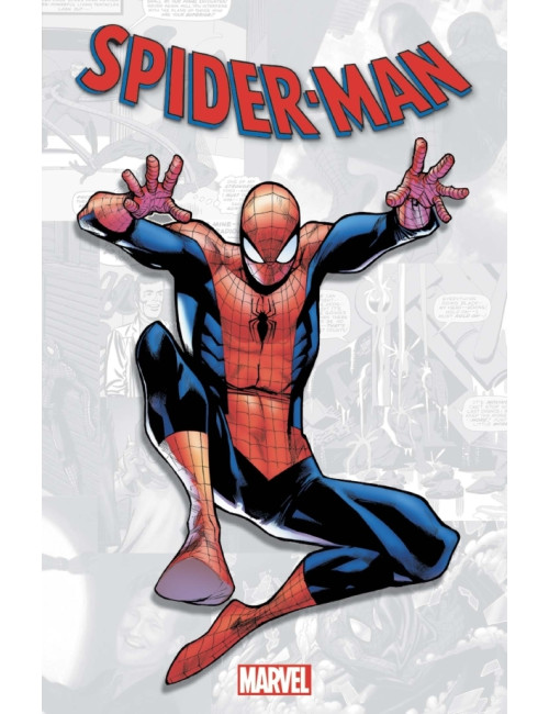 Marvel-Verse : Spider-Man (VF)