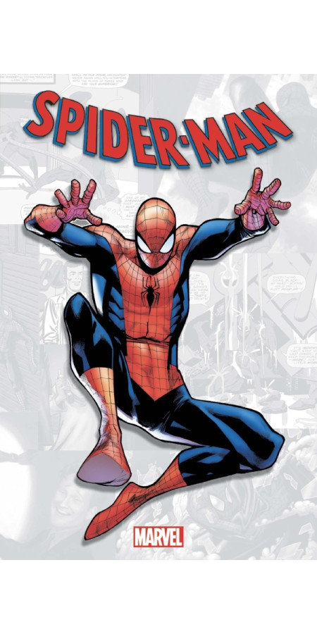 Marvel-Verse : Spider-Man (VF)