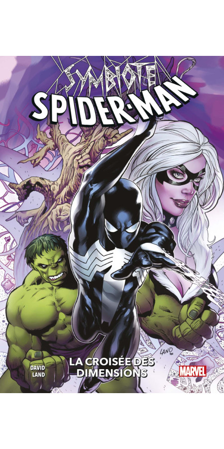 Symbiote Spider-Man : Crossroads (VF)