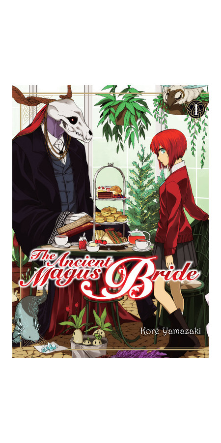 Couverture de The ancient magus bride T01