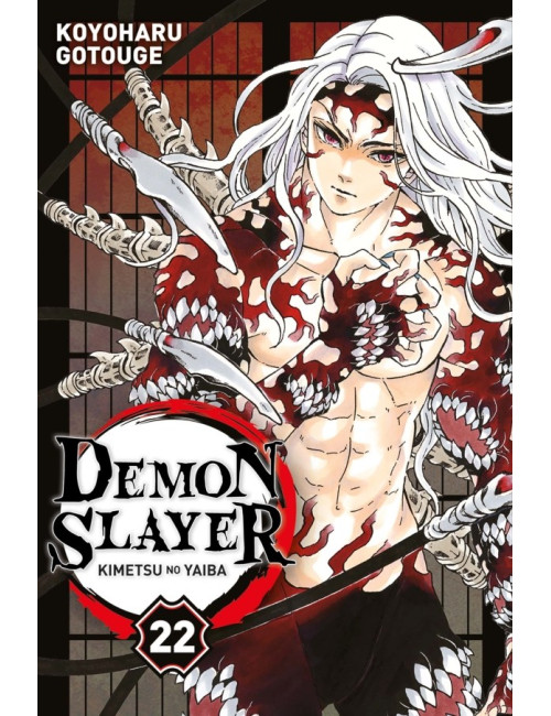 Demon Slayer Tome 21 (VF)