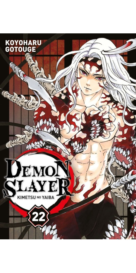 Demon Slayer Tome 21 (VF)