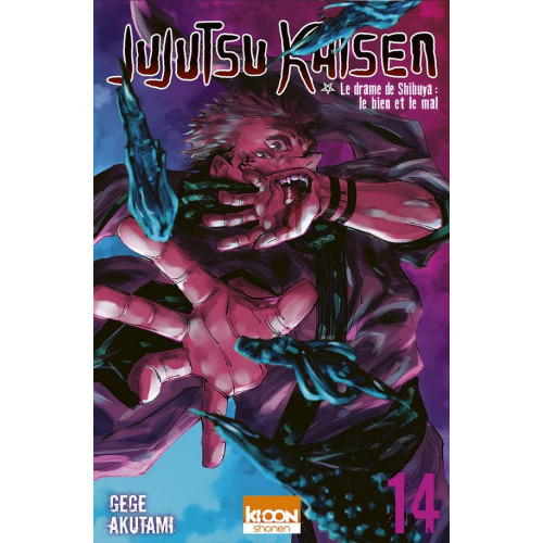 Jujutsu Kaisen Tome 14 (VF)