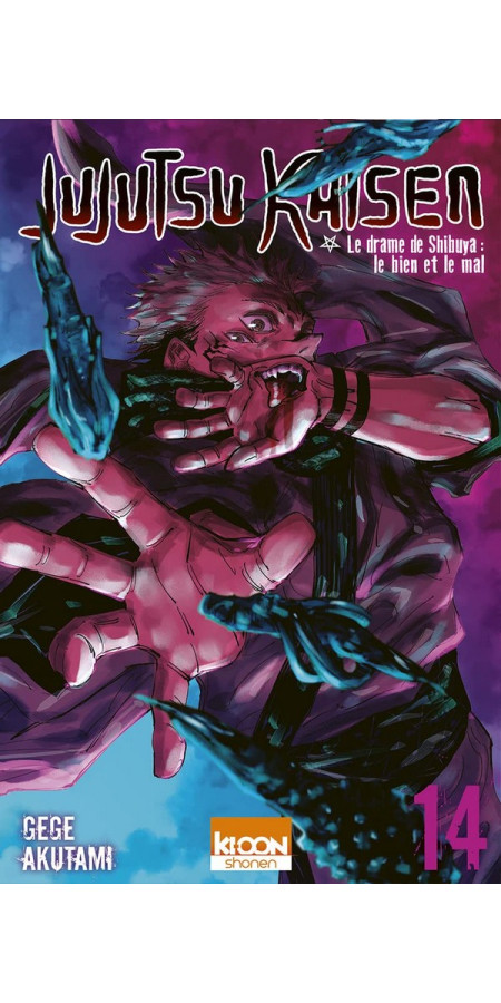 Jujutsu Kaisen Tome 14 (VF)