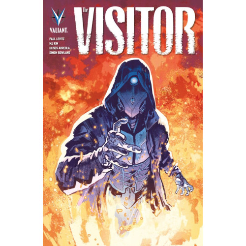 Couverture de The Visitor