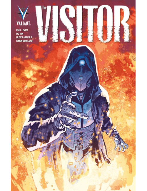 Couverture de The Visitor