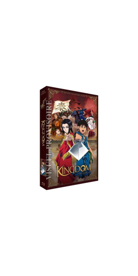 KINGDOM - BLU-RAY - EDITION COLLECTOR LIMITÉE SAISON 1