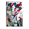 Amazing Spider-Man : Maximum Carnage - Epic Collection (VF)