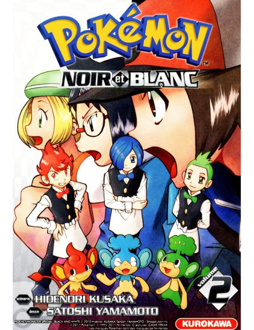 Pokémon Noir et Blanc T2 (VF)