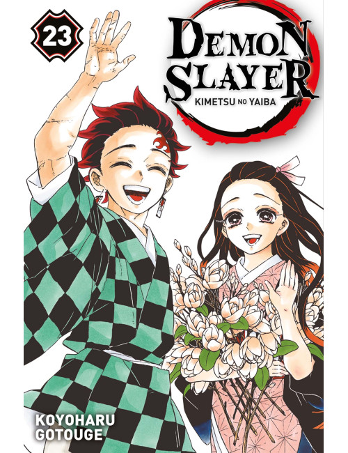 Demon Slayer Tome 22 (VF)