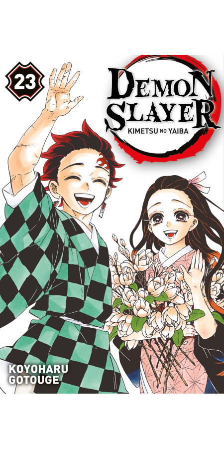 Demon Slayer Tome 22 (VF)