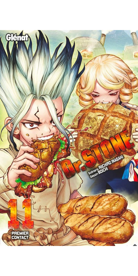 Dr Stone Tome 11 (VF)