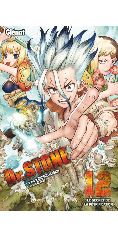 Dr Stone Tome 12 (VF)