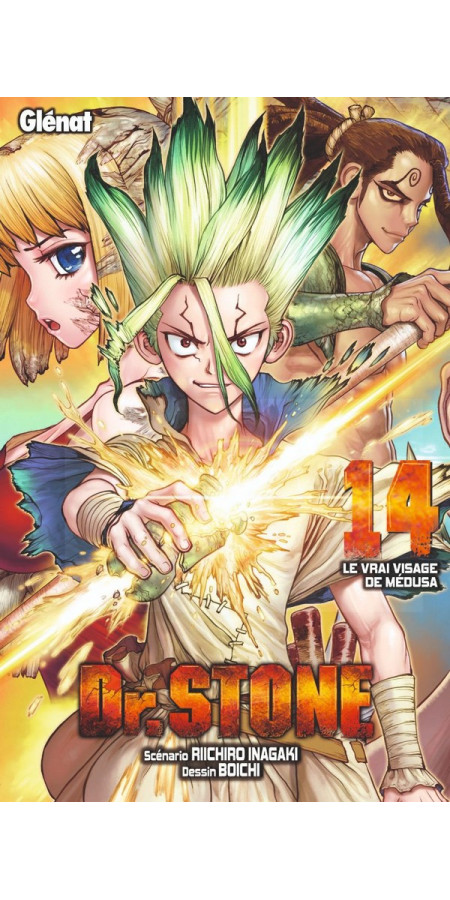 Dr Stone Tome 14 (VF)