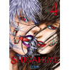 Shigahime Tome 4 (VF)