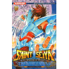 Saint Seiya The Lost Canvas – La Légende d’Hadès T19 (VF)